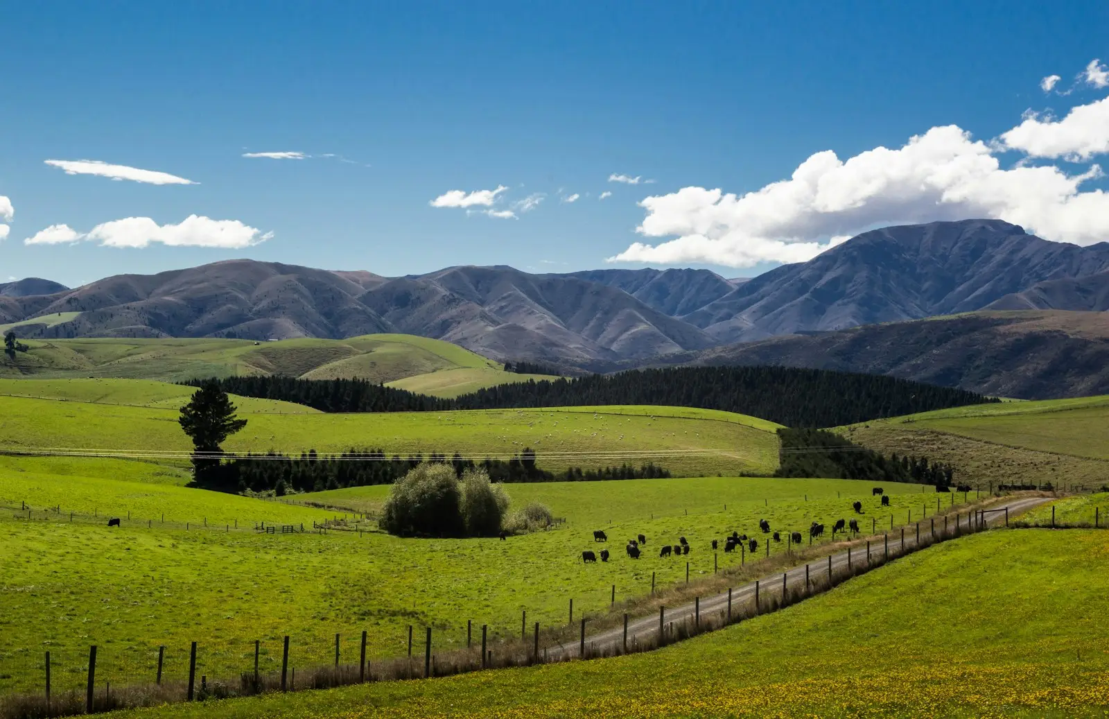 Green farmland and mountains behind Fairlie in the Mackenzie District